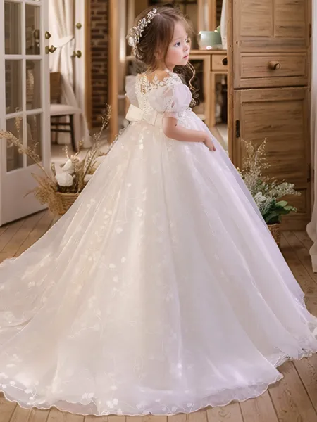 Precious A-Line High Neck...