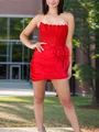 Bow Sheath Glam Straight Short/Mini Silk Like Satin Corset Dress