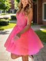 Hermosos V-Neck A-line Appliques Lace Short/Mini Tulle Dress