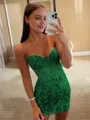 Enchanting Sheath Corset Appliques Lace Short/Mini Dress