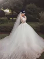 Ball-Gown Princess V-Neck Breathtaking Long Sleeves Court Train Tulle Wedding Dress