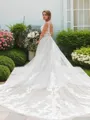 A-line Princess V-Neck Sleeveless Court Train Open Back Tulle Sophisticated Wedding Dress