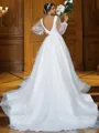 A-line Classy V-Neck Long Sleeves Court Train Tulle Wedding Dresses