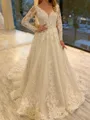 Magnificent A-Line V-Neck Long Sleeves Appliques Lace Chapel Train Tulle Corset Wedding Dress