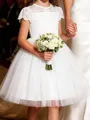Sparkling A-Line Scoop Short Sleeves Applique Knee-Length Tulle Flower Girl Dress