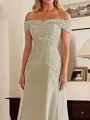 Exquisite Sheath Off-the-Shoulder Appliques Lace Floor-Length Chiffon Corset Mother of the Bride Dress