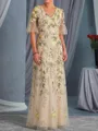 Immaculate A-Line V-Neck Appliques Lace Floor-Length Tulle Mother of the Bride Dress