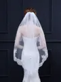 Graceful Tulle With Lace Wedding Veils