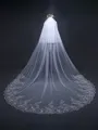 Fashion Tulle With Lace Long Wedding Veils