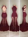 Trumpet/Mermaid Halter Sleeveless Court Train Tulle Striking Dress With Applique