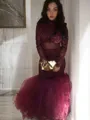 Trumpet/Mermaid Jewel Long Sleeves Floor-Length Lace Seductive Dress With Applique