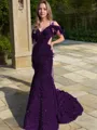 Sheath/Column Shimmery V-Neck Sleeveless Court Train Velvet Sequins Dress