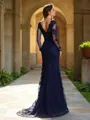 Trumpet/Mermaid V-Neck Graceful Long Sleeves Sweep Train Lace Dress With Applique