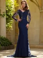 Trumpet/Mermaid V-Neck Graceful Long Sleeves Sweep Train Lace Dress With Applique