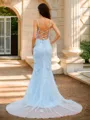 Sheath/Column V-Neck Contemporary Sleeveless Court Train Tulle Dresses