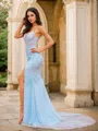 Sheath/Column V-Neck Contemporary Sleeveless Court Train Tulle Dresses
