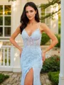 Sheath/Column V-Neck Contemporary Sleeveless Court Train Tulle Dresses