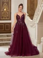 A-line V-Neck Fashion Sleeveless Court Train Tulle Dresses