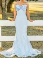 Show-stopping Sheath Straight Appliques Lace Sweep Train Tulle Corset Dress