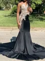 Delicate Mermaid Appliques Lace Court Train Velvet Dress