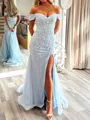 Fashion Sheath Off-the-Shoulder Appliques Lace Sweep Train Tulle Dress