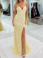 Delicate Sheath V-Neck Appliques Lace Sweep Train Tulle Dress