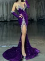 Charming Sheath V-Neck Long Sleeves Rhinestone Court Train Velvet Sequins Dress