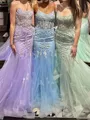 Luxurious Mermaid Spaghetti Straps Appliques Lace Court Train Tulle Corset Dress