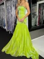 Breathtaking Mermaid Straight Pleated Court Train Organza Dress