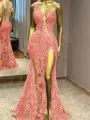 Glam Sheath One-Shoulder Appliques Lace Floor-Length Tulle Prom Dress