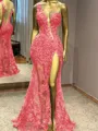 Glam Sheath One-Shoulder Appliques Lace Floor-Length Tulle Prom Dress