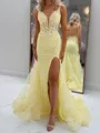 Glam Sheath V-Neck Appliques Lace Court Train Tulle Corset Prom Dress
