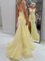 Glam Sheath V-Neck Appliques Lace Court Train Tulle Corset Prom Dress