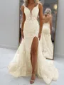 Glam Sheath V-Neck Appliques Lace Court Train Tulle Corset Prom Dress