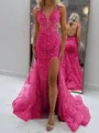 Glam Sheath V-Neck Appliques Lace Court Train Tulle Corset Prom Dress
