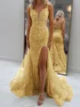 Glam Sheath V-Neck Appliques Lace Court Train Tulle Corset Prom Dress
