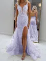 Glam Sheath V-Neck Appliques Lace Court Train Tulle Corset Prom Dress