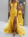 Glam Sheath V-Neck Appliques Lace Court Train Tulle Corset Prom Dress