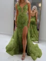 Glam Sheath V-Neck Appliques Lace Court Train Tulle Corset Prom Dress