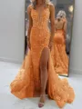 Glam Sheath V-Neck Appliques Lace Court Train Tulle Corset Prom Dress