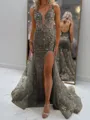 Glam Sheath V-Neck Appliques Lace Court Train Tulle Corset Prom Dress