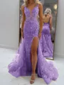 Glam Sheath V-Neck Appliques Lace Court Train Tulle Corset Prom Dress