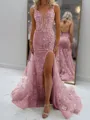 Glam Sheath V-Neck Appliques Lace Court Train Tulle Corset Prom Dress