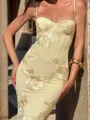 Exquisite Sheath Spaghetti Straps Appliques Lace Chapel Train Tulle Prom Dress