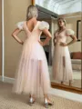 Glamorous A-line V-Neck Short Sleeves Pleated Tea-Length Tulle Dress