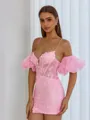 Unforgettable Sheath Spaghetti Straps Short Sleeves Appliques Lace Short/Mini Corset Dress