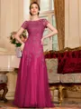 Classy A-Line Tulle Lace Scoop Short Sleeves Floor-Length Mother of the Bride Dress