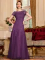 Classy A-Line Tulle Lace Scoop Short Sleeves Floor-Length Mother of the Bride Dress