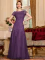 Classy A-Line Tulle Lace Scoop Short Sleeves Floor-Length Mother of the Bride Dress