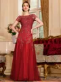 Classy A-Line Tulle Lace Scoop Short Sleeves Floor-Length Mother of the Bride Dress
